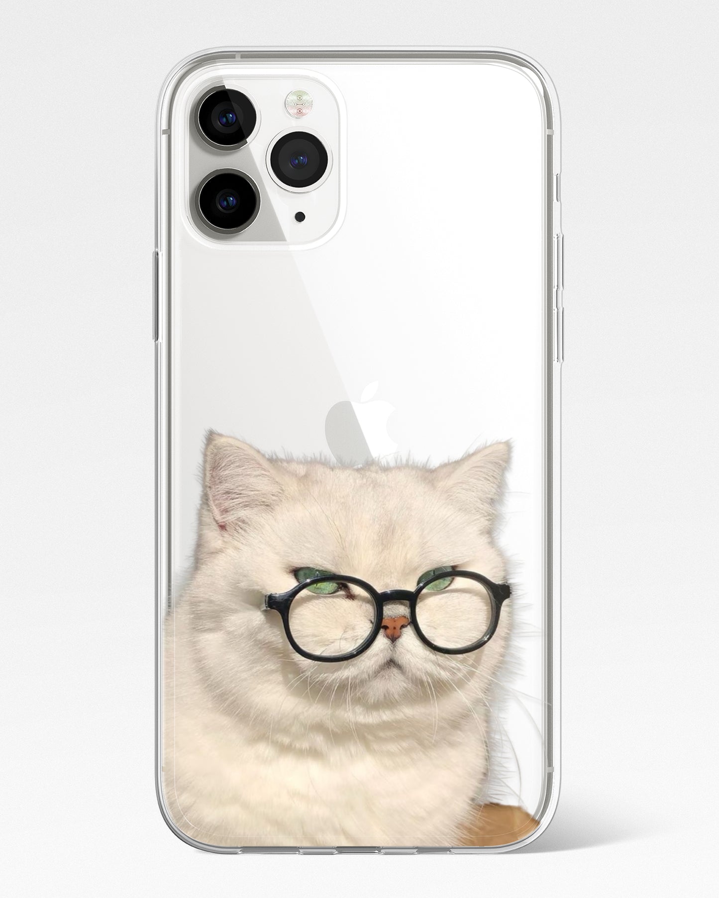 Professor Paws Transparent Phone Cover